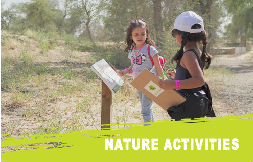Nature Activities