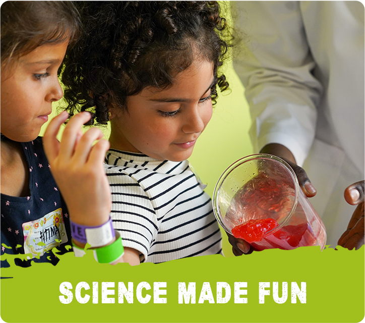 SCIENCE MADE FUN