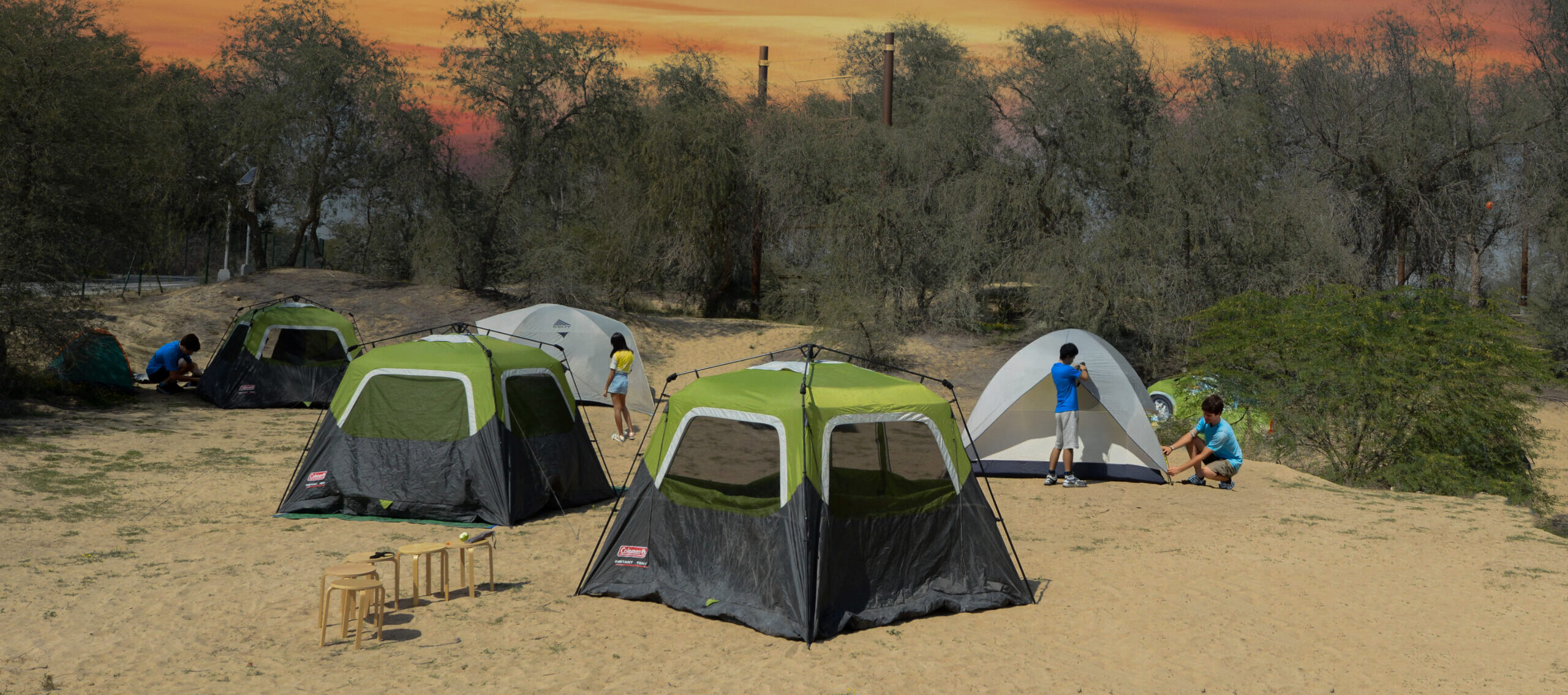 educational-workshop-outdoor-camp