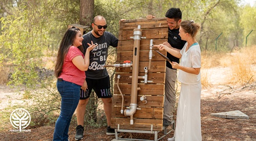 Forest Escape Games