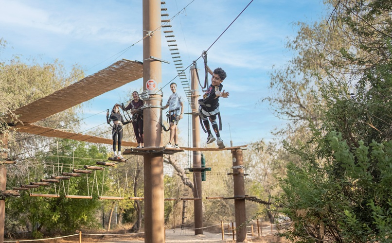 Zipline Park