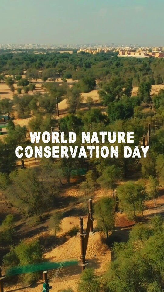 Nature isn’t just our backdrop. It’s our story. 🌿

This #WorldNatureConservationDay, we stand proud as Dubai’s largest adventure ropes park, located on 35,000 sqm of protected Ghaf tree forest in Mushrif National Park, Dubai. 🌳

We play among the trees and protect them every step of the way.

We re-open on September 12. See you back in Dubai’s Green Heart! 💚

#WorldNatureConservationDay #DubaiAdventure #EcoTourism #SustainableTravel #NatureLovers #GhafTree #ConservationMatters #DubaiThingsToDo #OutdoorDubai #AdventurePark #NatureFirst #ReconnectWithNature #VisitDubai #GreenDubai